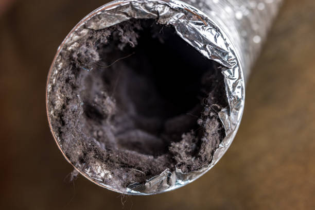 Best Best Air Duct Cleaning Company  in Newton, MA