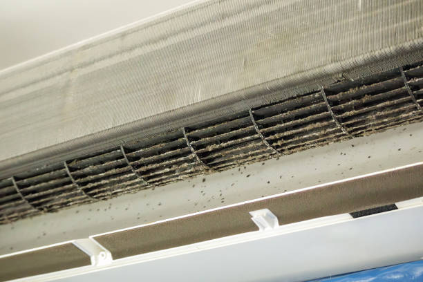 Best Air Duct Cleaning Near Me in Newton, MA