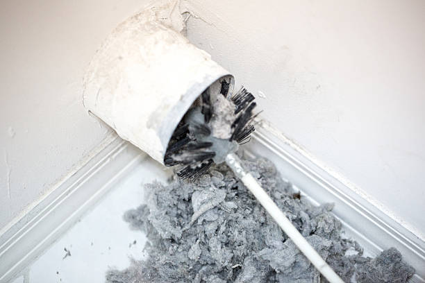 Best Affordable HVAC Duct Cleaning  in Newton, MA